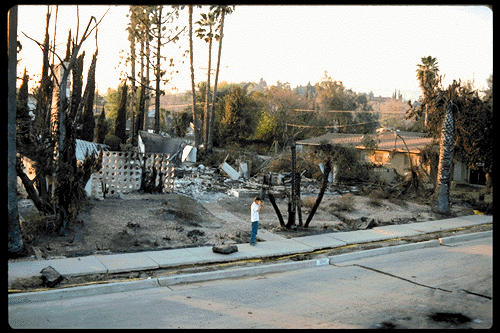 bare.gif (108507 bytes)