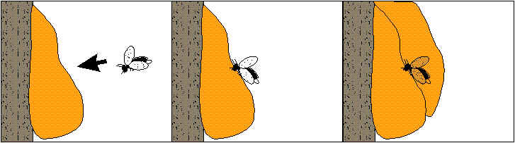 building of schlaubes with inclusions