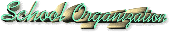 School Organization