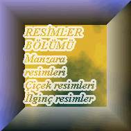 RES�MLER B�L�M�NE G�TMEK ���N TIKLAYINIZ