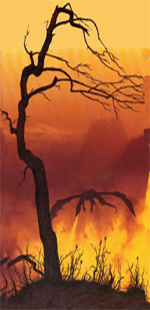 fire2.jpg (29142 bytes)