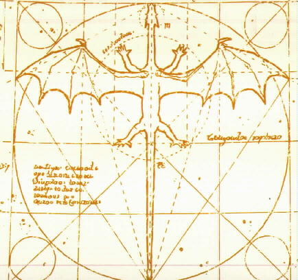 physiology.jpg (46219 bytes)