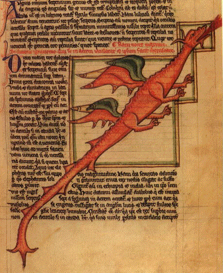 untitled.bmp (258678 bytes)