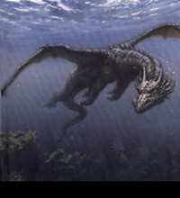 water2.jpg (20504 bytes)