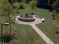 my view from bed room windows 