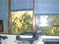 my view from living room windows 