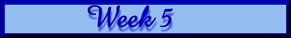 week 5
