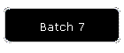 Batch 7