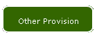 Other Provision