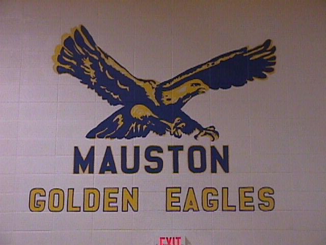 pict.JPG (44429 bytes)