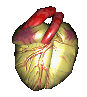 Heart-02.gif (53968 bytes)