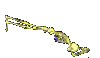 Skeleton-06.gif (24735 bytes)
