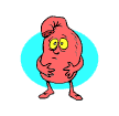 Stomach.gif (6407 bytes)