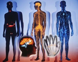 atlascol.jpg (38057 bytes)