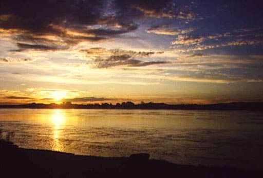 hede1.jpg (29304 bytes)