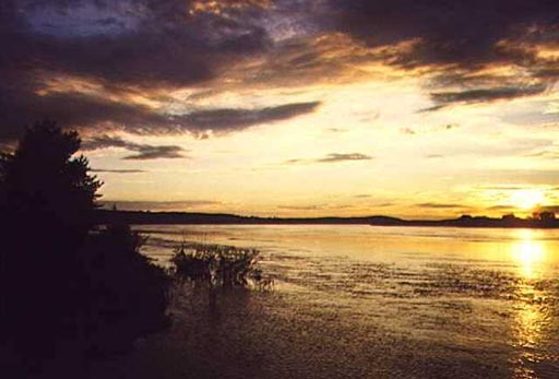 hede4.jpg (33230 bytes)