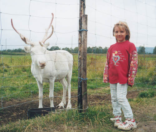 roren1.jpg (50743 bytes)