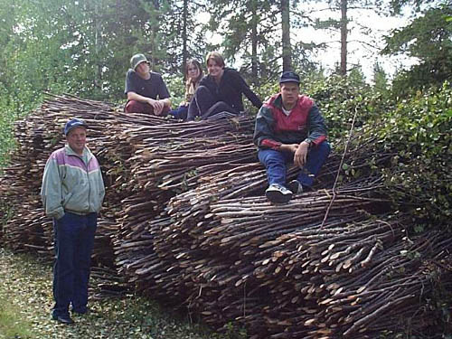 ruskor.jpg (79658 bytes)