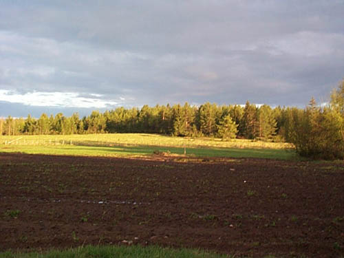 utsikt.jpg (35672 bytes)