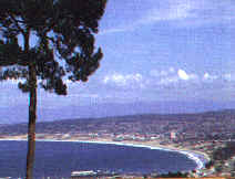 wpe96431.gif (47171 bytes)