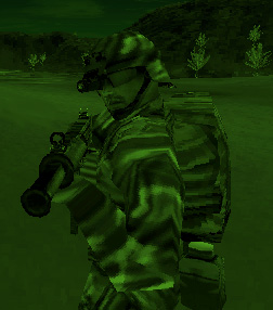 WOLF2 copy.jpg (28542 bytes)