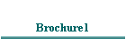 Brochure1