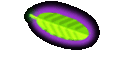 Picture Gallery