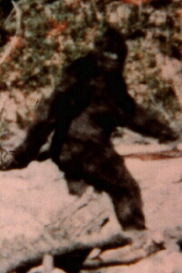 Bigfoot