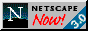 netscape1.gif (13492 bytes)