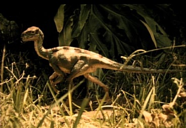 dsdino3.jpg (31754 bytes)