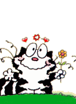 catX.gif (14236 bytes)