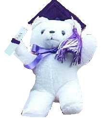 Graduation Bear