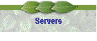 Servers