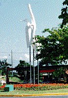 3garcas.jpg (18358 bytes)