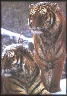 A pic of mom and paw