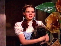 Dorarr_1.jpg (29815 bytes)