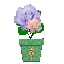 From Anne's Angel Place