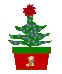 The Site Fights Growing XMas Trees