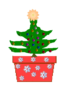 The Site Fights Growing XMas Trees