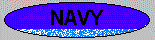 U.S. Navy