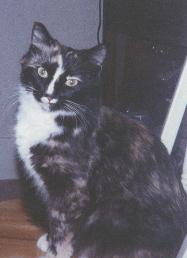 Psycho Sitting Pretty.