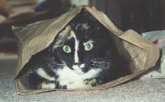 Paperbag Princess