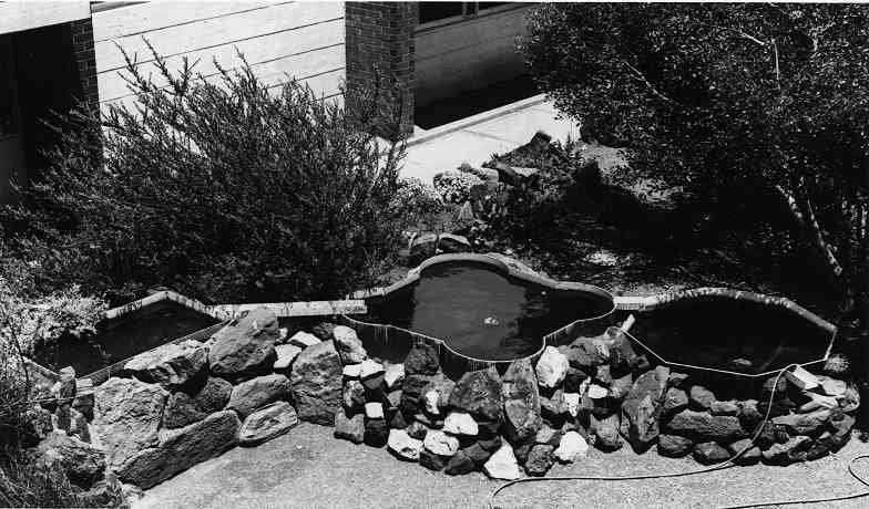 1979 The great lakes of SHS.JPG