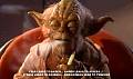 yoda.jpg
