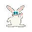 bunnywavexsm.gif (4787 bytes)