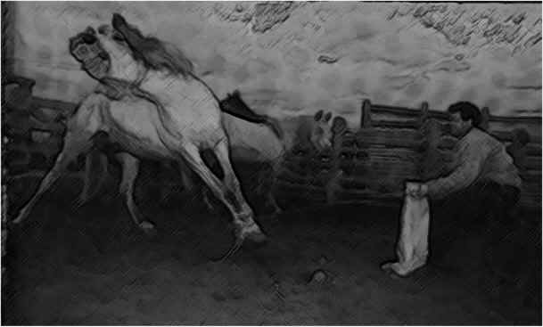 caballo.jpg (42007 bytes)