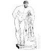 heracles.jpg (2232 bytes)