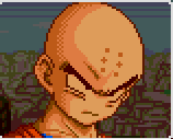 Krillin7.gif (4267 bytes)