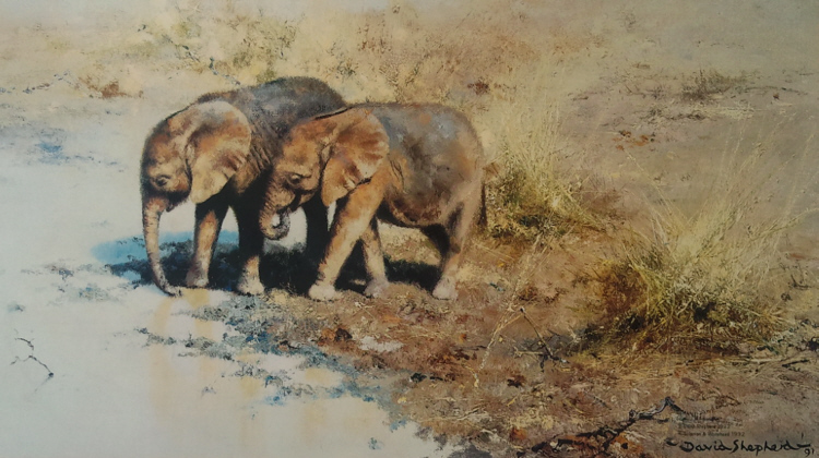 david shepherd african babies signed limited edition print
