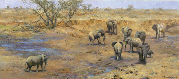 davidshepherd african waterhole